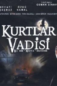 Kurtlar Vadisi