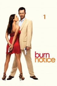 Burn Notice - Season 1